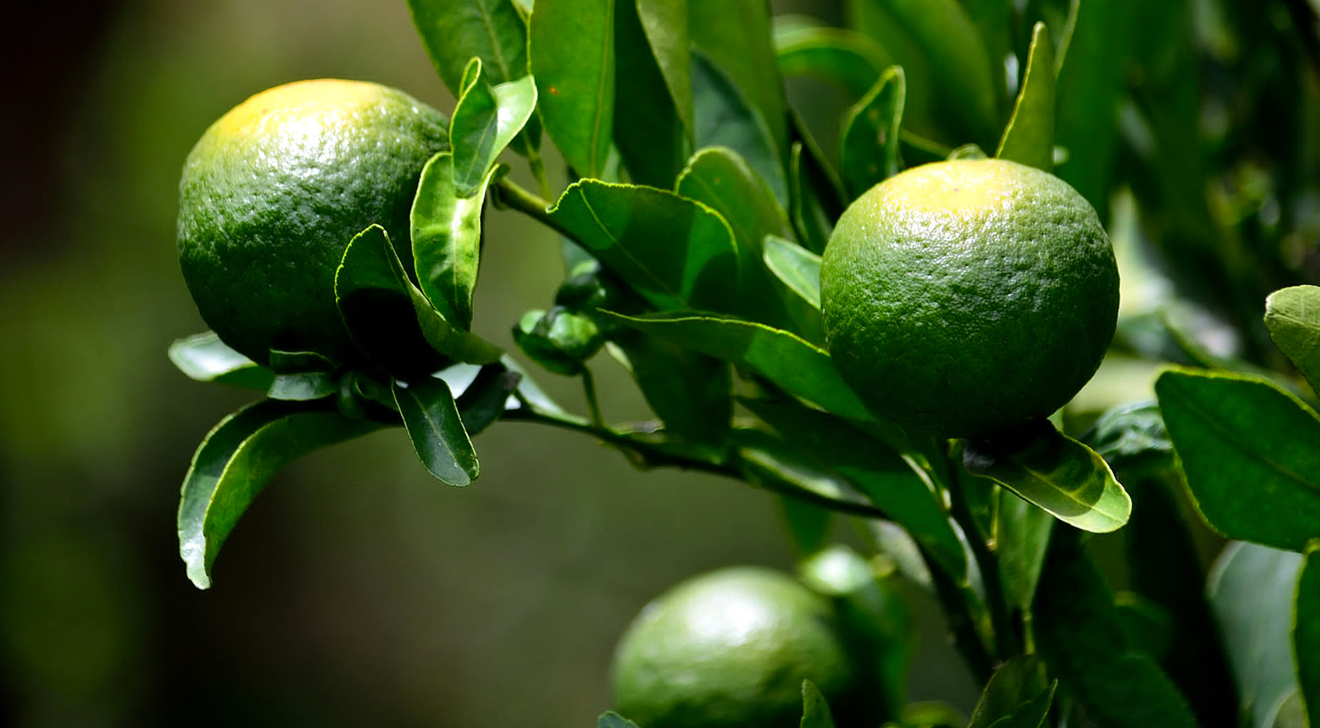 壹号娱乐app官网(中国)官方版下载