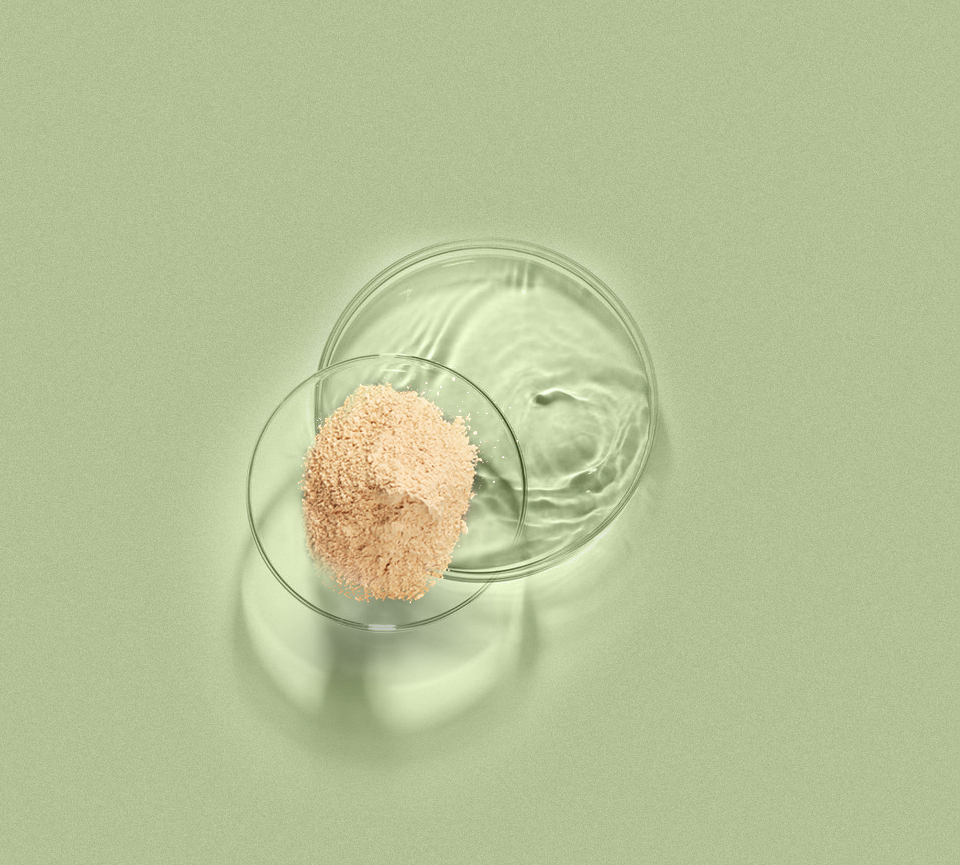 壹号娱乐app官网(中国)官方版下载