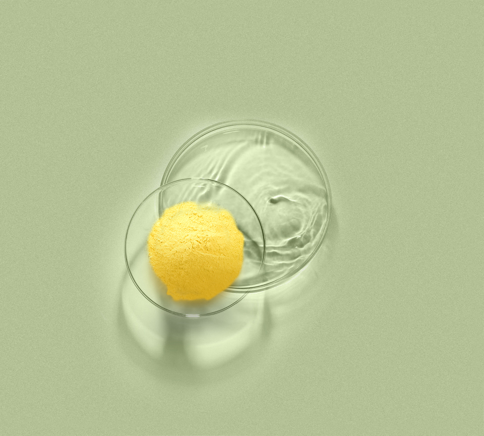 壹号娱乐app官网(中国)官方版下载