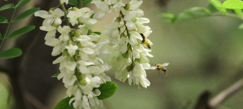 壹号娱乐app官网(中国)官方版下载