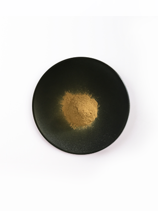 壹号娱乐app官网(中国)官方版下载