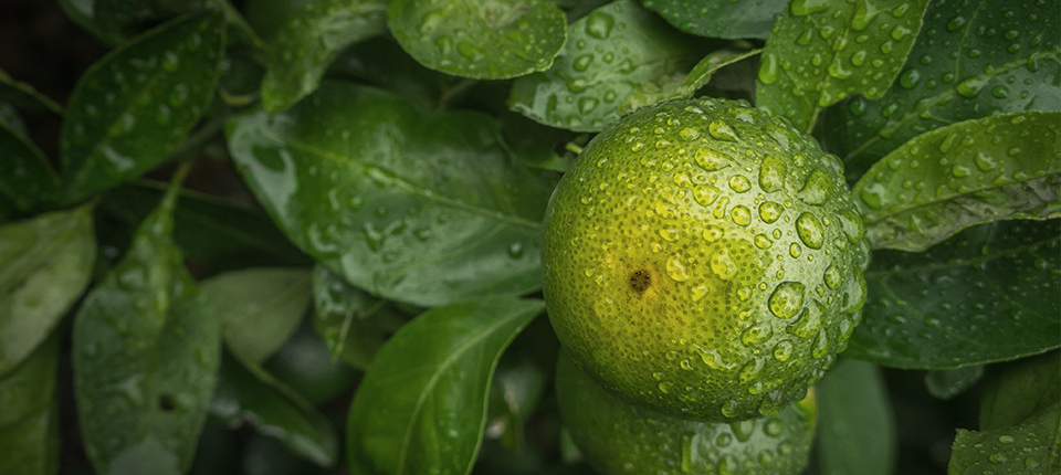 壹号娱乐app官网(中国)官方版下载